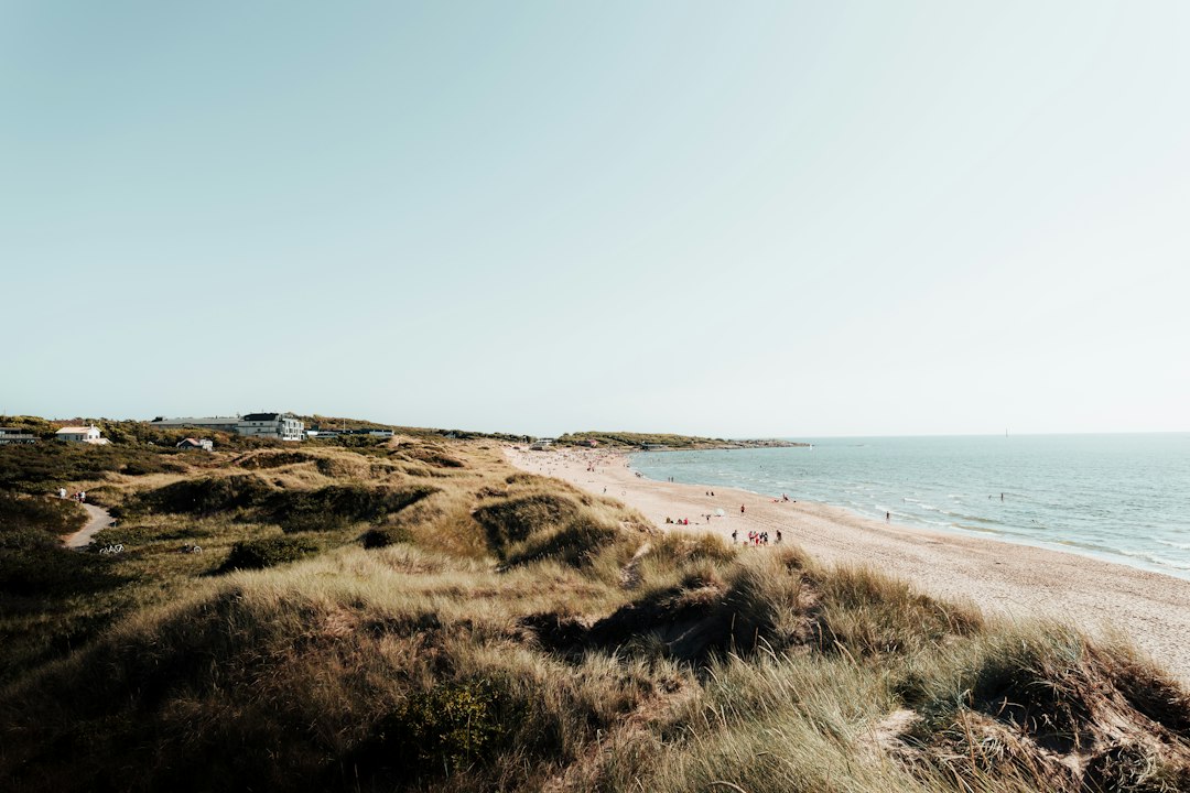 Upptäck mysiga hotell i Halmstad nära stranden och stan illustration