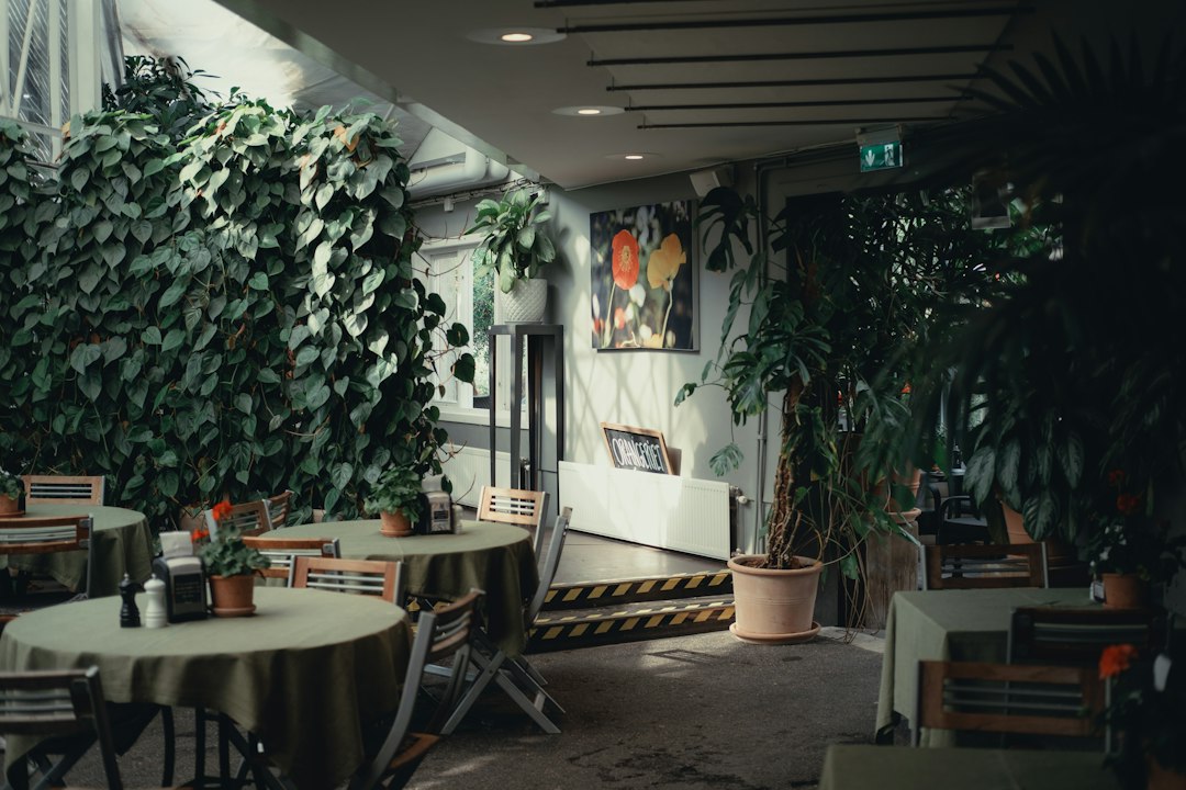 Upptäck varför Hotel C Stockholm älskas av resenärer illustration
